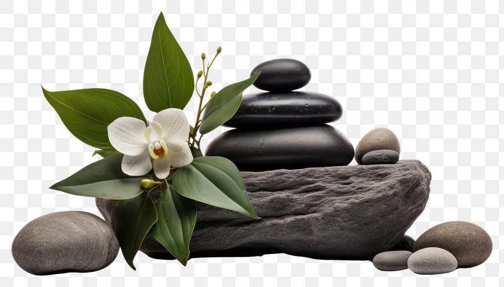 PNG Spa rock flower pebble. 