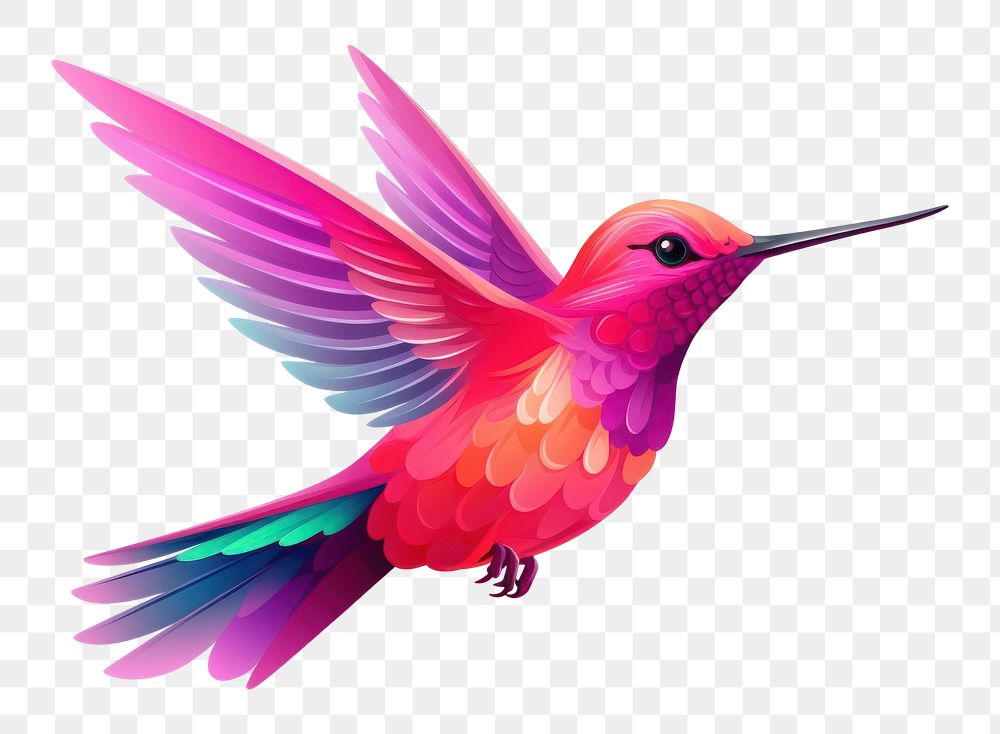 PNG Hummingbird hummingbird cartoon animal. 