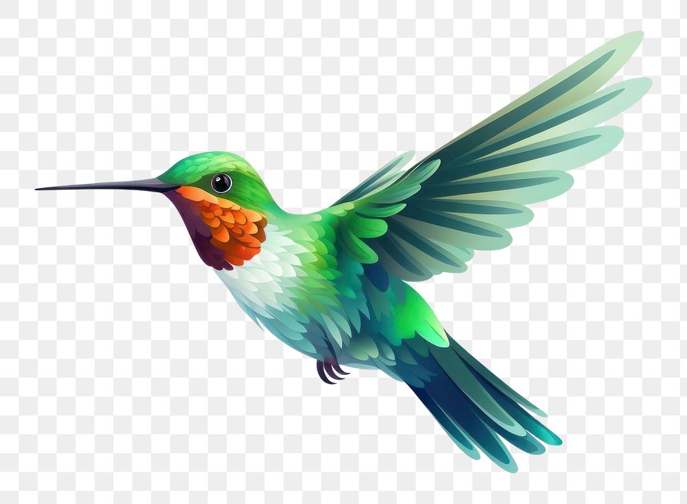 PNG Hummingbird hummingbird cartoon animal. AI generated Image by rawpixel.