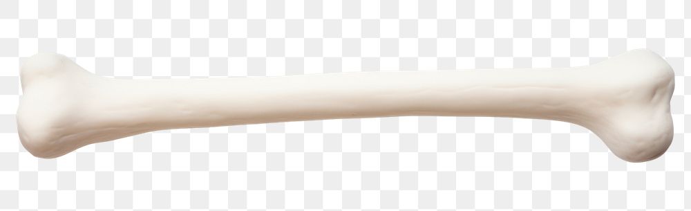 PNG Bone white background simplicity toothbrush. AI generated Image by rawpixel.