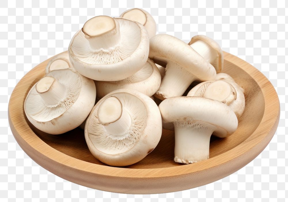 PNG Mushroom fungus agaricaceae matsutake. AI generated Image by rawpixel.