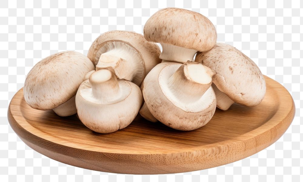 PNG Champignon Mushrooms mushroom fungus plant. 