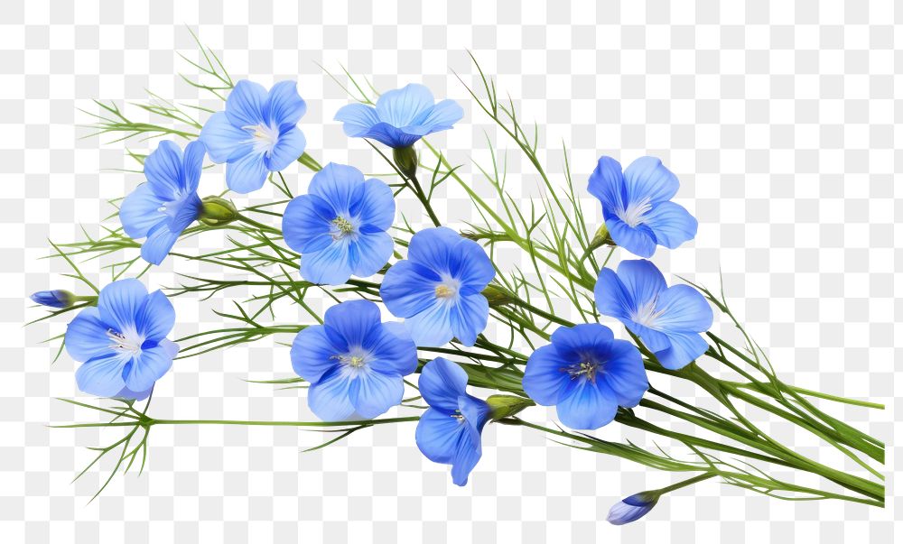 PNG Flower petal plant blue. AI generated Image by rawpixel.