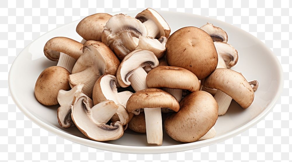PNG Mushroom plate white background agaricaceae. AI generated Image by rawpixel.