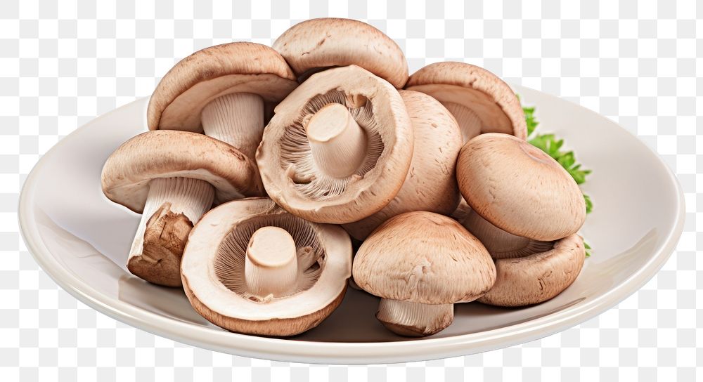 PNG Mushroom plate food white background. AI generated Image by rawpixel.