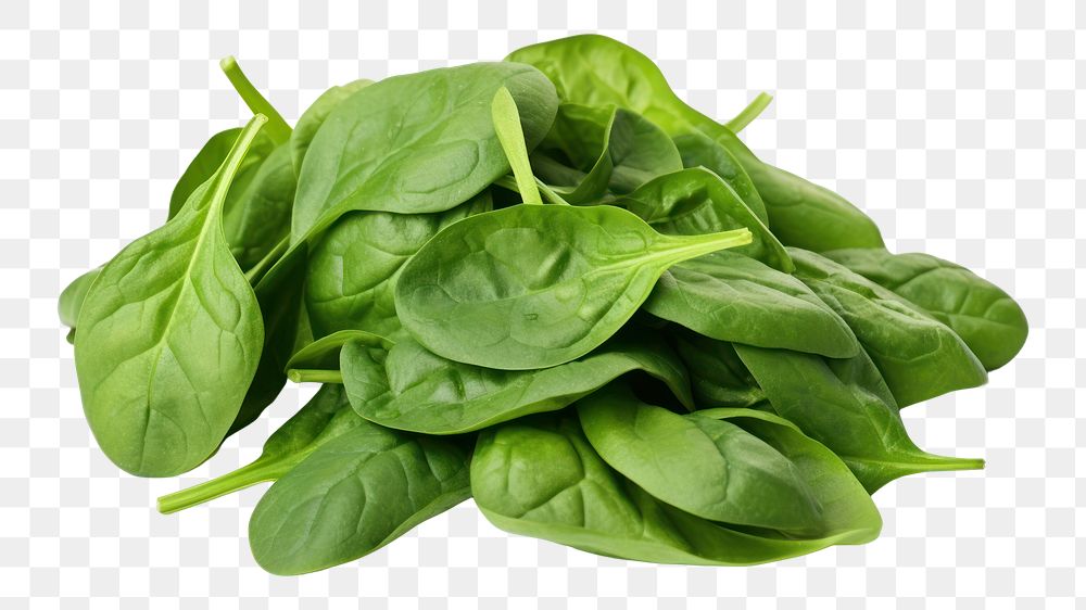 PNG Spinach vegetable plant green. 