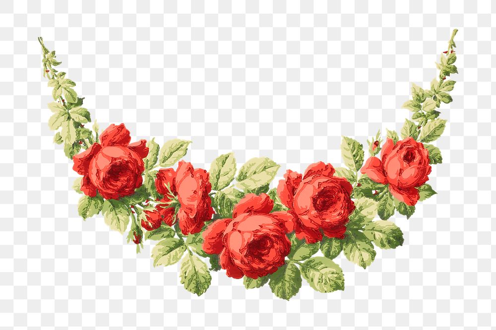 PNG Red roses, vintage flower illustration, transparent background. Remixed by rawpixel.