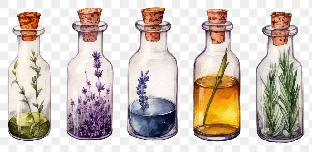 PNG Glass drink herbs arrangement. AI generated Image by rawpixel.