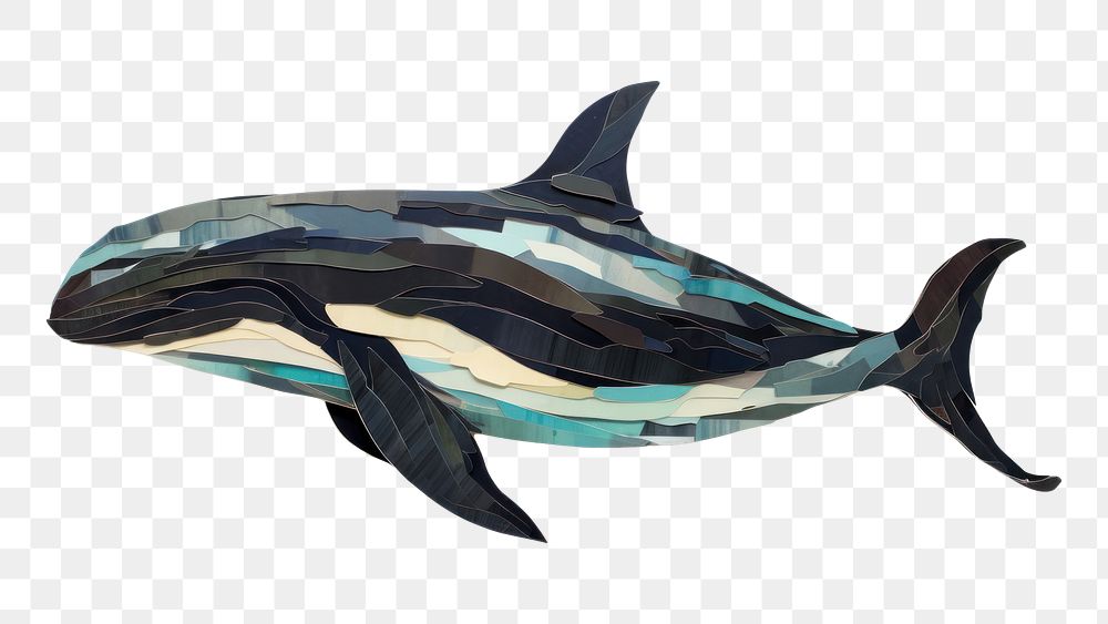 PNG Whale whale dolphin animal. AI generated Image by rawpixel.