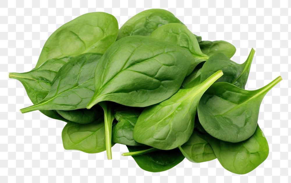 PNG Vegetable spinach plant food. AI generated Image by rawpixel.