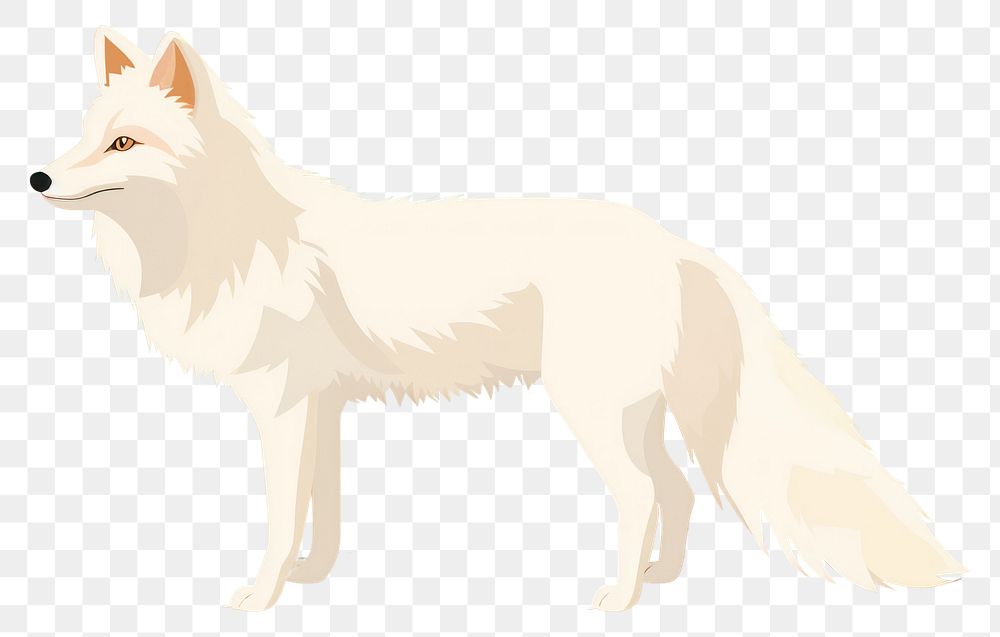 PNG White fox wildlife animal mammal. AI generated Image by rawpixel.