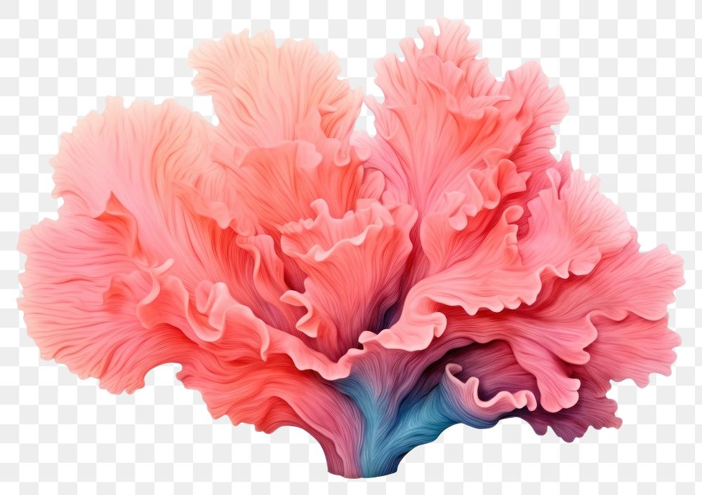 PNG Coral reef flower petal plant. AI generated Image by rawpixel.
