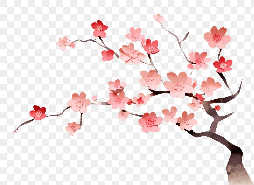 PNG Cherry blossom flower plant petal. AI generated Image by rawpixel.