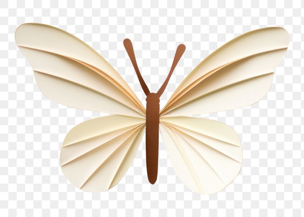 PNG Paper butterfly flower white. 