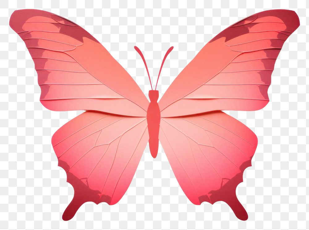 PNG Butterfly animal white background fragility. AI generated Image by rawpixel.