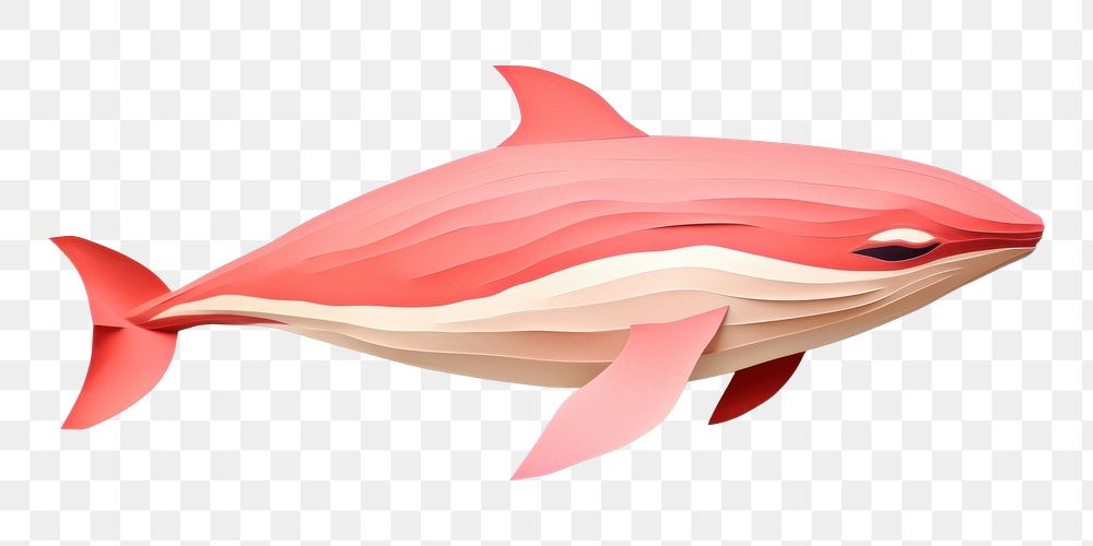 PNG Colorful paper whale art. Pink whale, paper layers, creative design. Artistic whale, vibrant pink, layered paper. Whale…