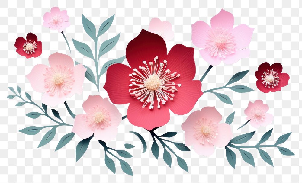 PNG Flowers plant petal leaf. AI generated Image by rawpixel.