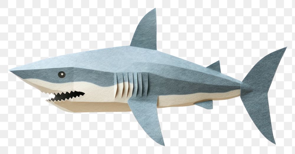 PNG Shark animal paper fish. AI generated Image by rawpixel.