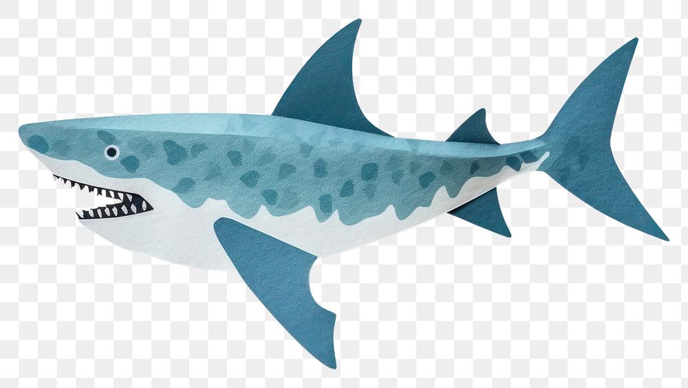 PNG Shark animal fish  