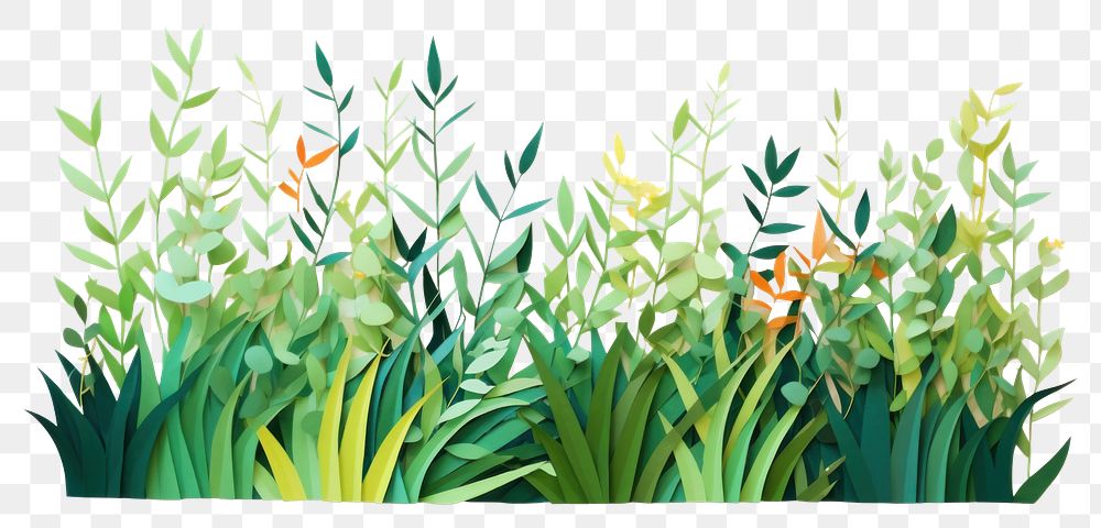 PNG Grass border painting plant art. AI generated Image by rawpixel.