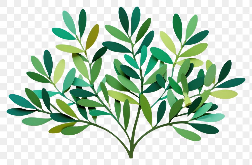 PNG Green bush plant herbs leaf. AI generated Image by rawpixel.