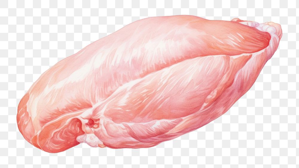 PNG Meat freshness flamingo sketch. AI generated Image by rawpixel.