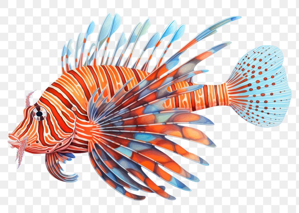 PNG Lion fish aquarium drawing cartoon. 