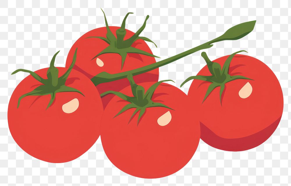 PNG Tomatoes food vegetable fruit. AI generated Image by rawpixel.