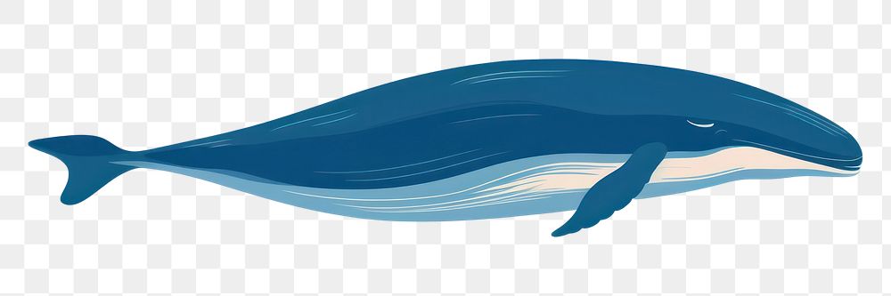 PNG Blue whale wildlife animal mammal. AI generated Image by rawpixel.