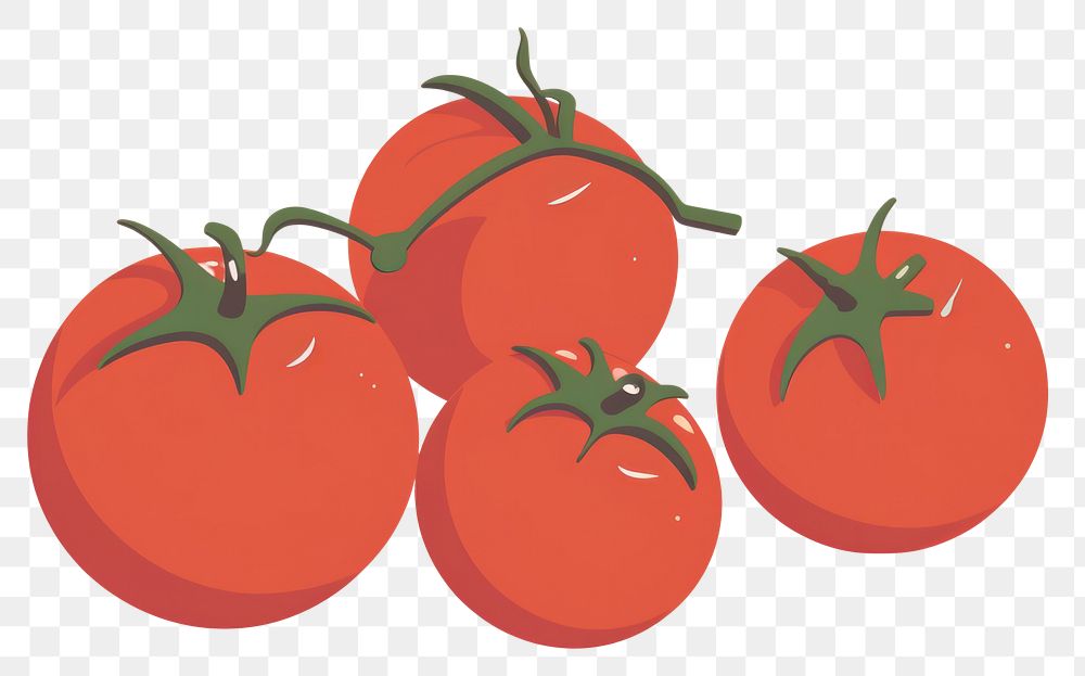 PNG Tomatoes food vegetable plant. 