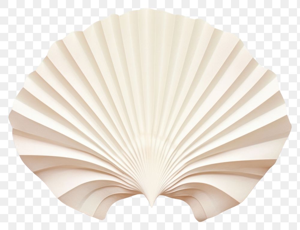 PNG Shell paper clam white background. AI generated Image by rawpixel.