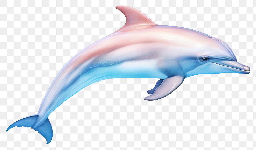 PNG Dolphine animal mammal fish. AI generated Image by rawpixel.