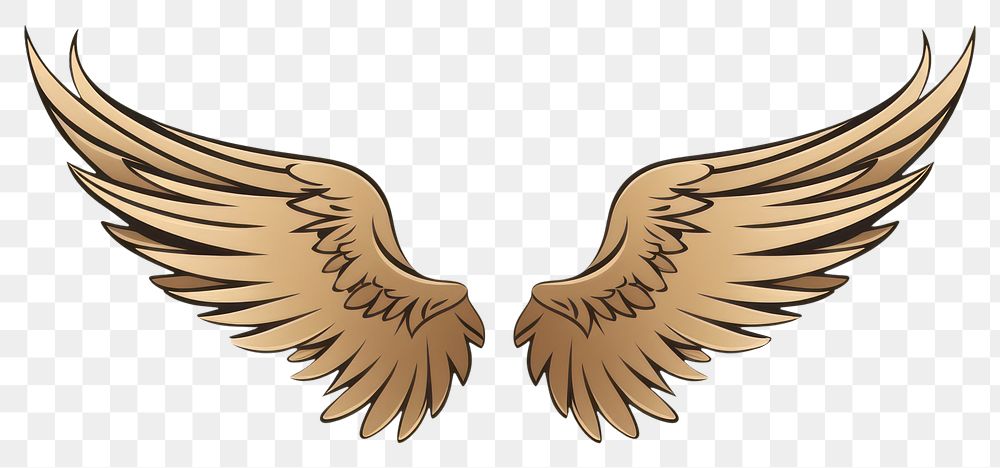 PNG Doodle wings vulture flying bird. AI generated Image by rawpixel.