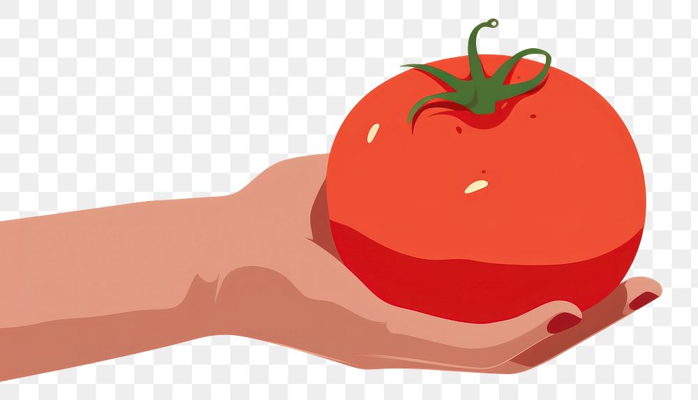 PNG Hand holding tomato vegetable plant food. AI generated Image by rawpixel.
