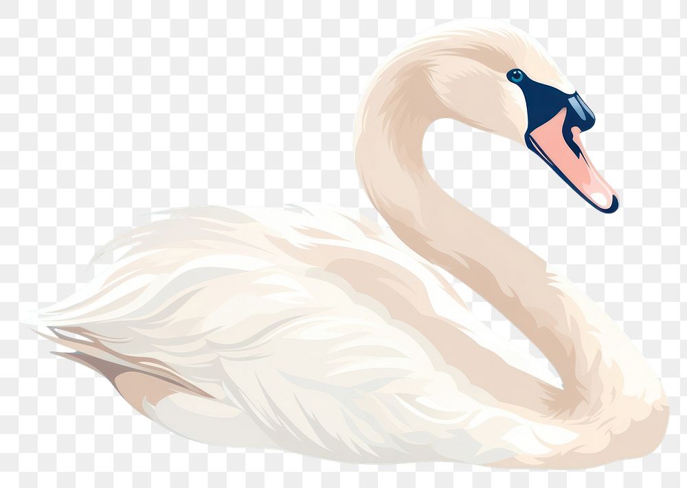 PNG Swan wildlife animal bird. AI generated Image by rawpixel.