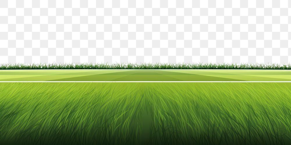 PNG Soccer field agriculture backgrounds grassland. AI generated Image by rawpixel.