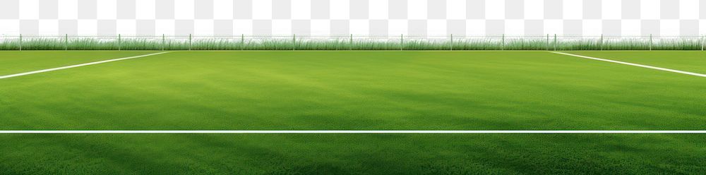 PNG Soccer field backgrounds outdoors grass. 