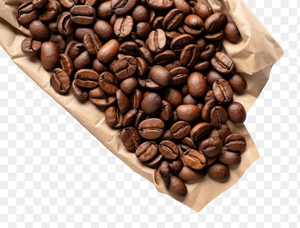 PNG Coffee beans backgrounds brown white background. AI generated Image by rawpixel.