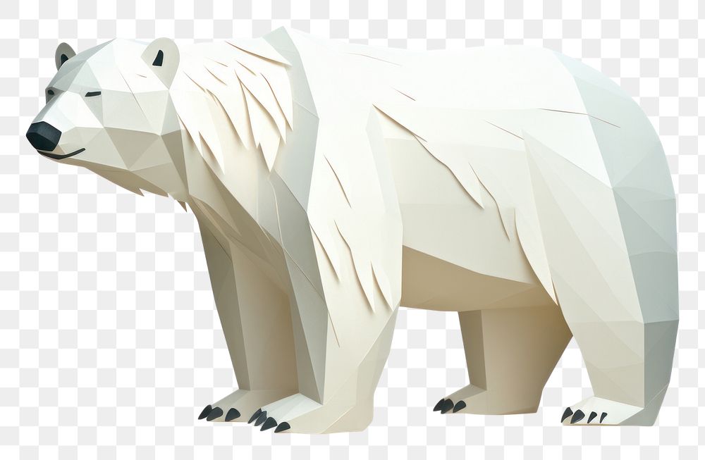 PNG Polar bear wildlife mammal animal. 