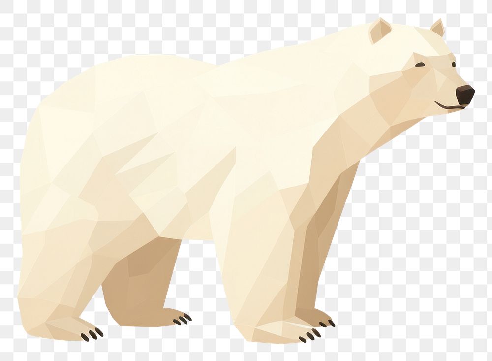 PNG Polar bear wildlife mammal animal. 