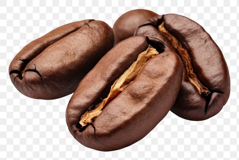 PNG Coffee bean food coffee beans chocolate. AI generated Image by rawpixel.