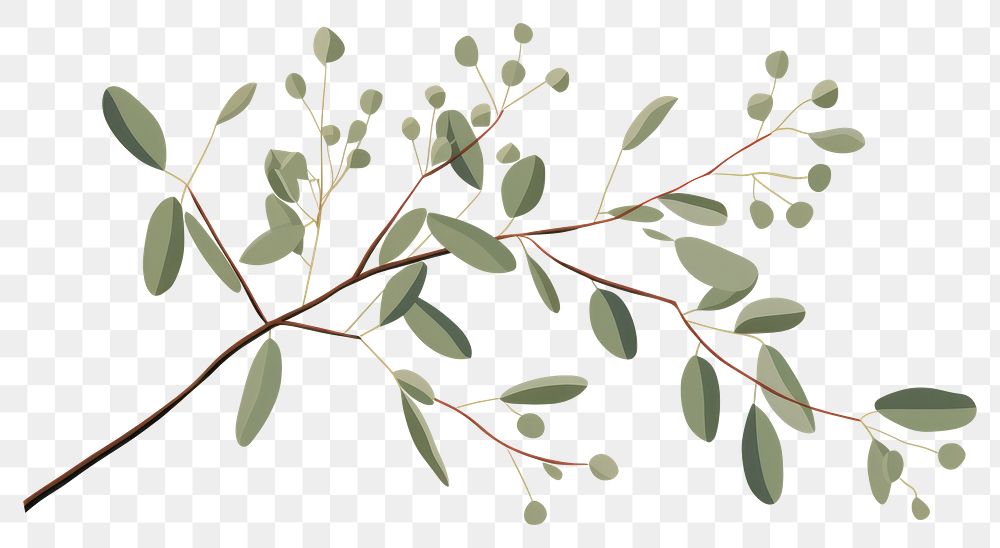 PNG Eucalyptus sketch plant leaf. AI generated Image by rawpixel.