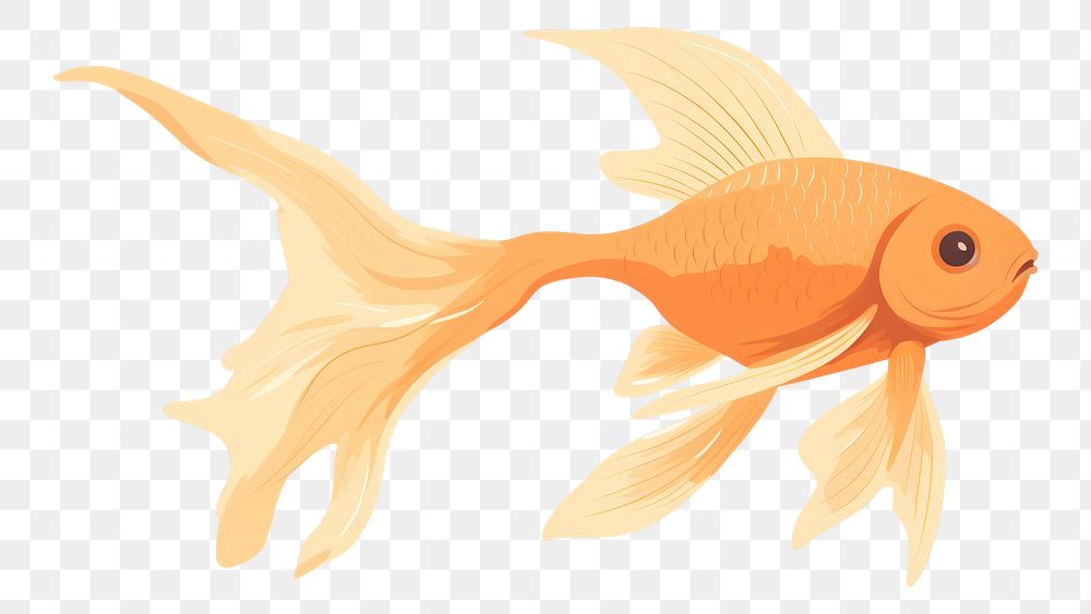 PNG Orange fantail fish goldfish animal underwater. AI generated Image by rawpixel.