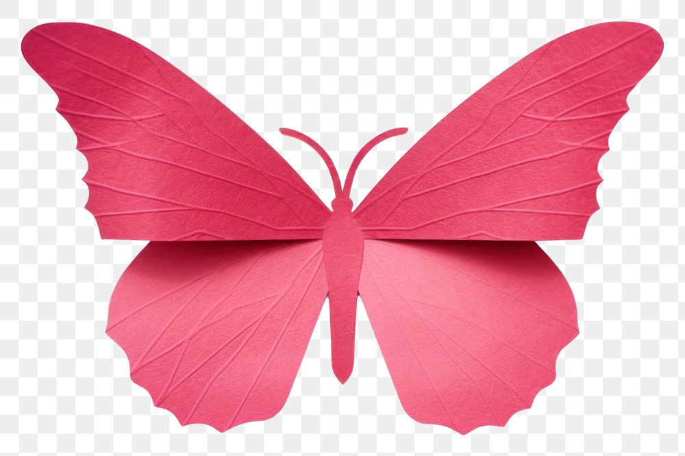 PNG Simple butterfly animal insect paper. 