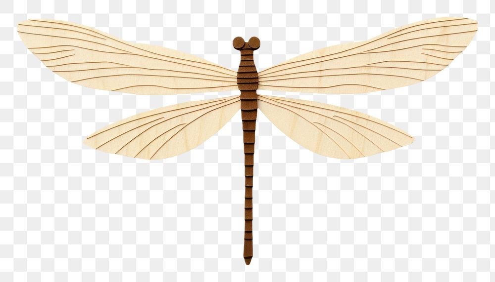 PNG Simple dragonfly insect animal white background. AI generated Image by rawpixel.