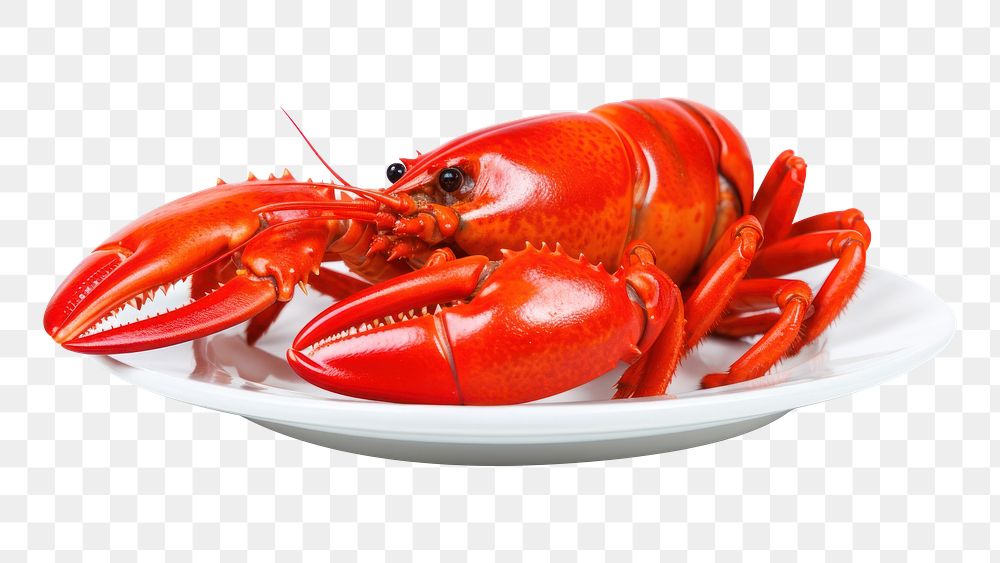 PNG Crawfish lobster seafood animal. AI generated Image by rawpixel.