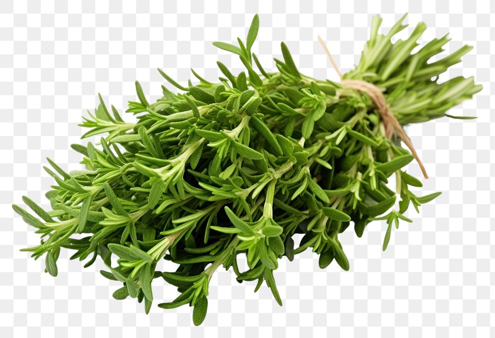 PNG Vegetable plant food leaf. 