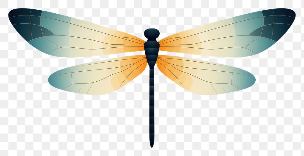 PNG Dragonfly wildlife insect animal. AI generated Image by rawpixel.