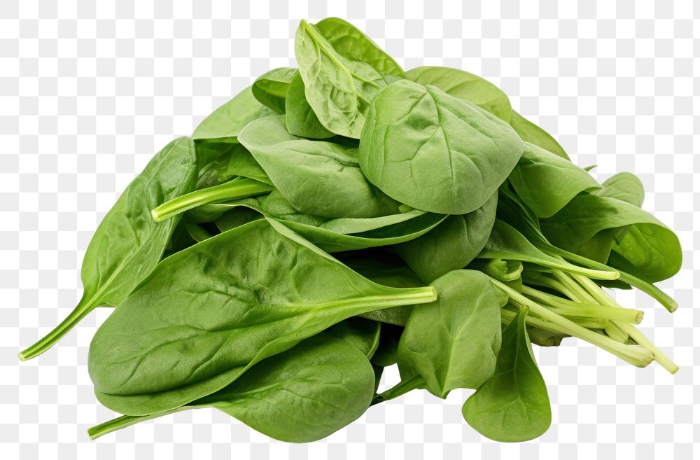 PNG Fresh spinach vegetable plant food. AI generated Image by rawpixel.