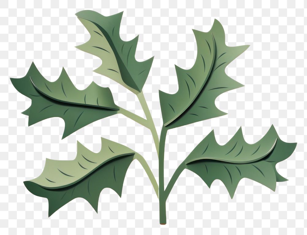 PNG Holly plant leaf tree. AI generated Image by rawpixel.